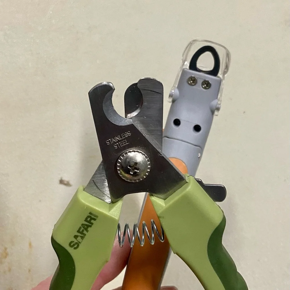 N/A dog nail